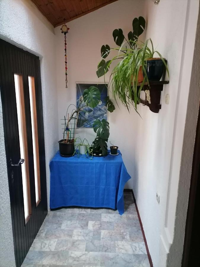 Apartman Zepina Pula Bagian luar foto